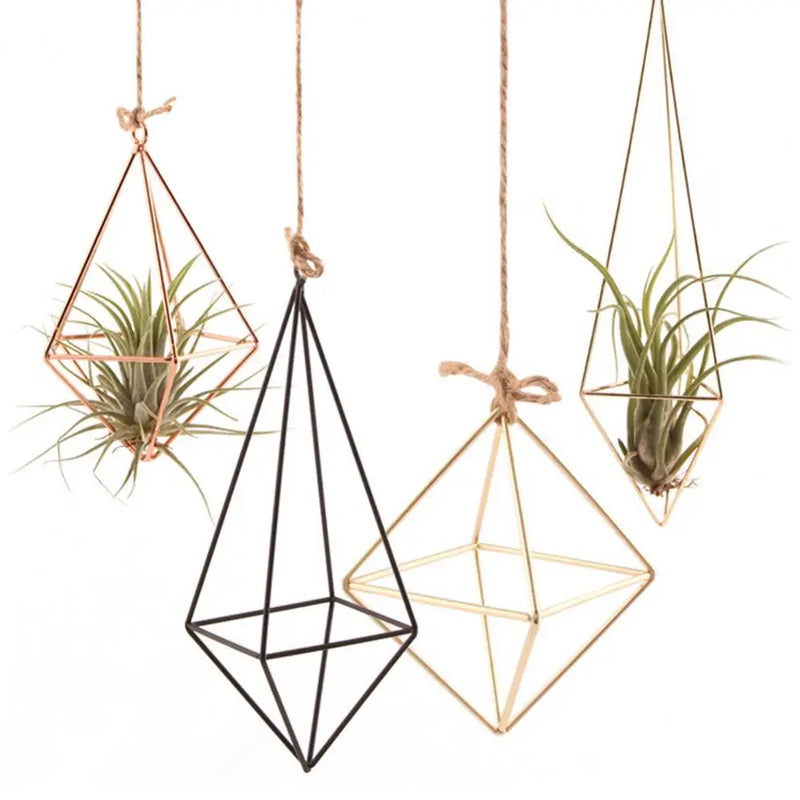 Modern Macrame Plant Hanger Flower Hanger Wall Decoration Countyard Garden Indoor Air Plant Stand