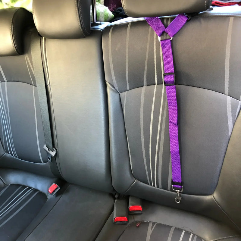 Adjustable Pet Car Seat Belt – 2-in-1 Safety Harness and Leash for Dogs and Cats