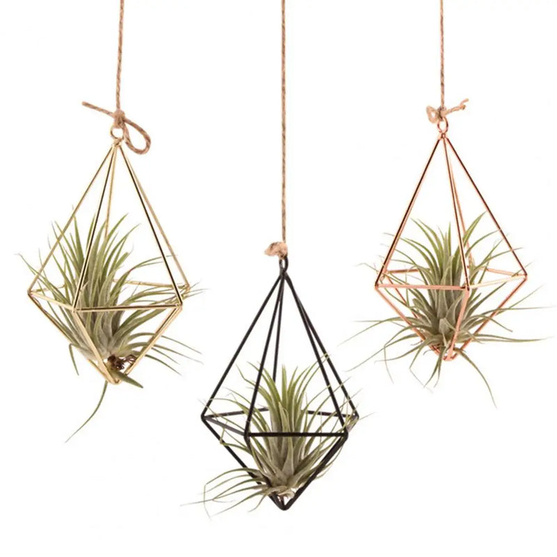 Modern Macrame Plant Hanger Flower Hanger Wall Decoration Countyard Garden Indoor Air Plant Stand