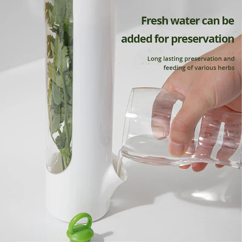 1 Pc Vegetable Preserving Bottle Herbal Preserving Herb Storage Bottle Home Kitchen Gadget Fresh