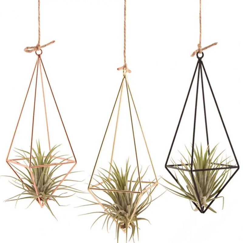 Modern Macrame Plant Hanger Flower Hanger Wall Decoration Countyard Garden Indoor Air Plant Stand