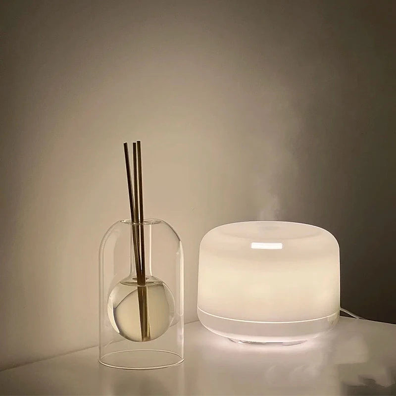 Aromatherapy Diffuser Bottle Glass with Essential Oil Sticks, Transparent Modern Home Decoration