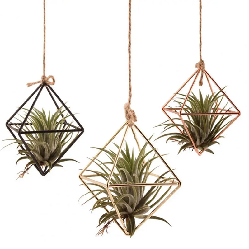 Modern Macrame Plant Hanger Flower Hanger Wall Decoration Countyard Garden Indoor Air Plant Stand