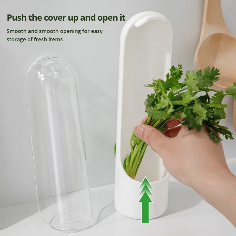 1 Pc Vegetable Preserving Bottle Herbal Preserving Herb Storage Bottle Home Kitchen Gadget Fresh