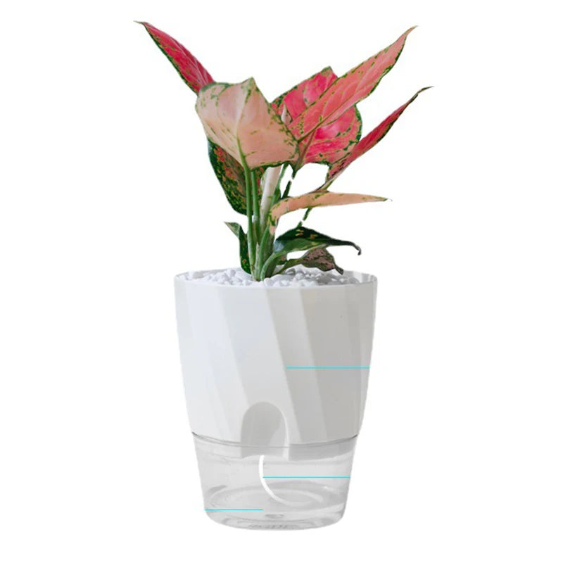 Lazy Green Plant Pot – Automatic Absorbent Transparent Hydroponics Plastic Basin for Easy Plant Care